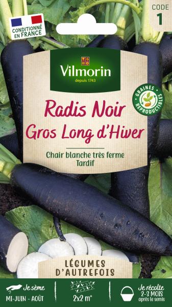Potagères - Radis noir long d'hiver - Légumes d'Autrefois - PACKAGING_RECTO